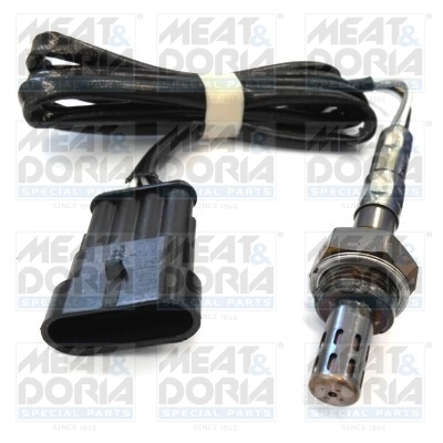 Oxygen Sensor